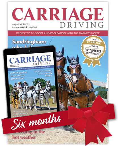 Carriage Driving Christmas 6 Months - Carriage (425x550), Png Download