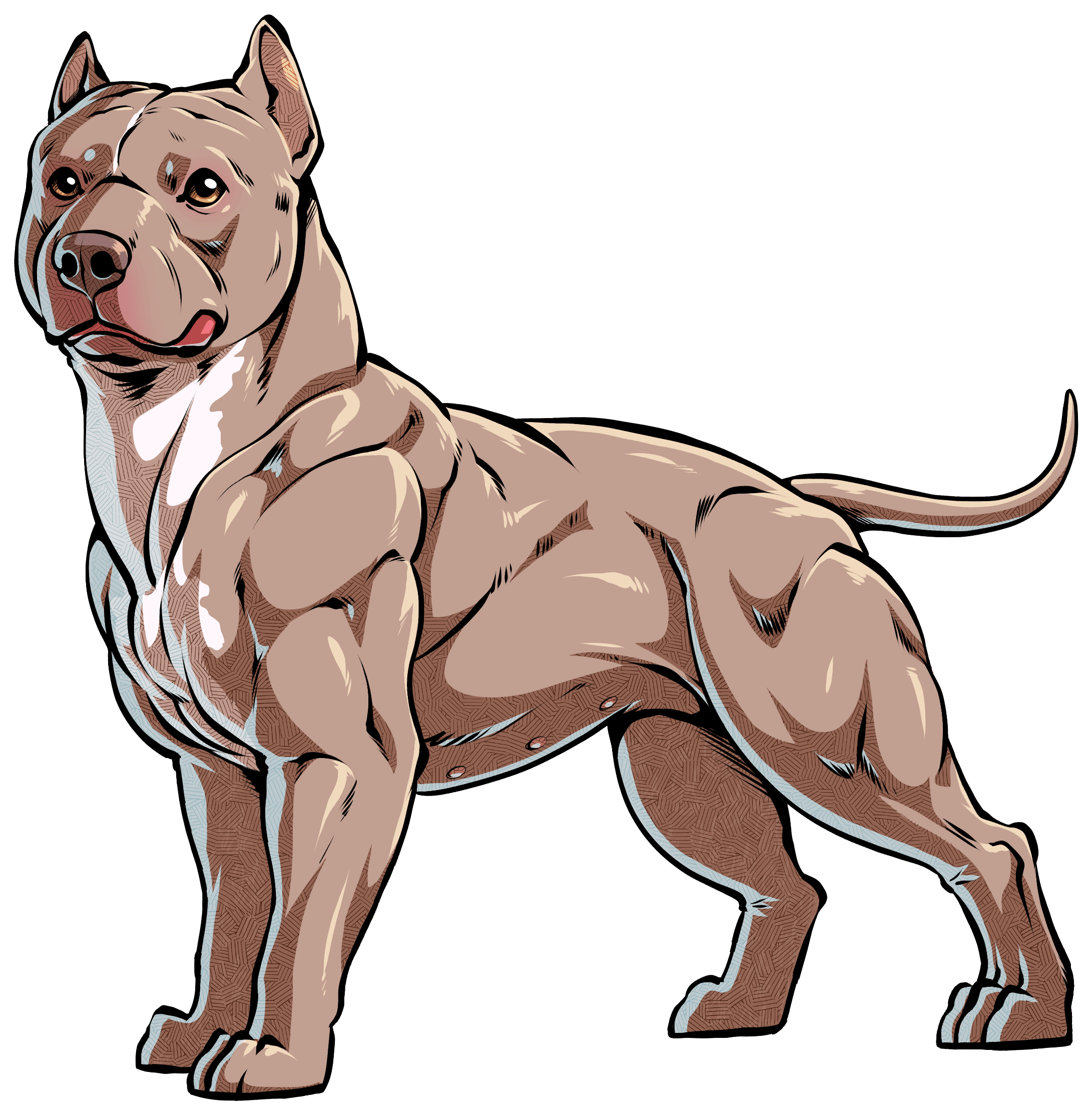 Its That Most Breeders Do Not Explain To New Owners - Imagenes De Pitbull Png (2880x2348), Png Download
