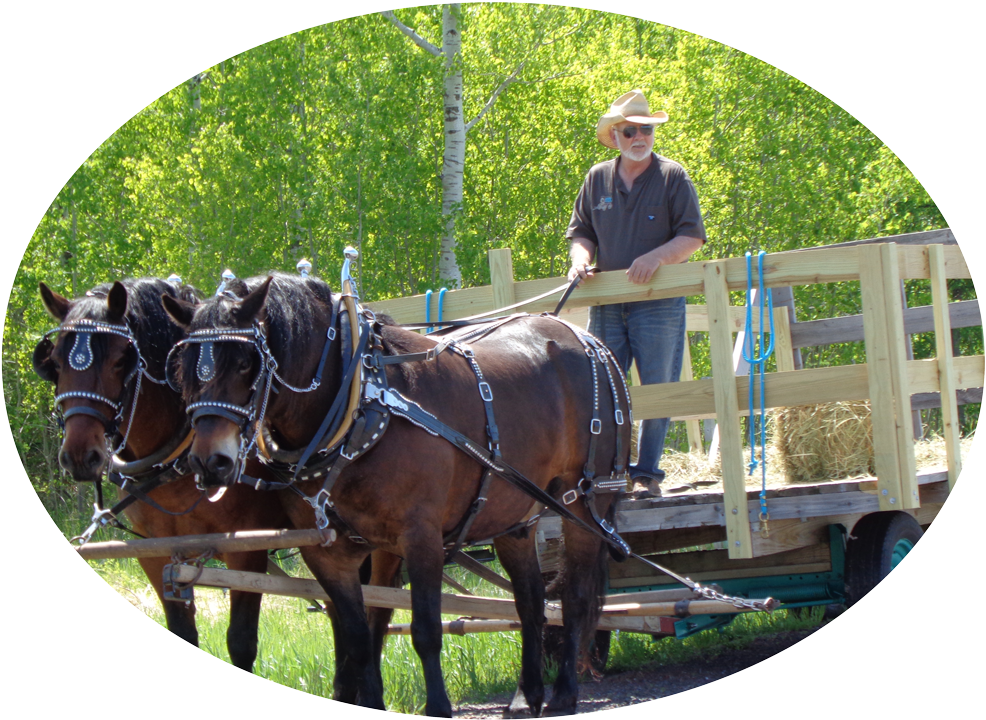 We Are Cathy, Owner, And Partner Roger, Operator, Of - Stallion (1000x750), Png Download