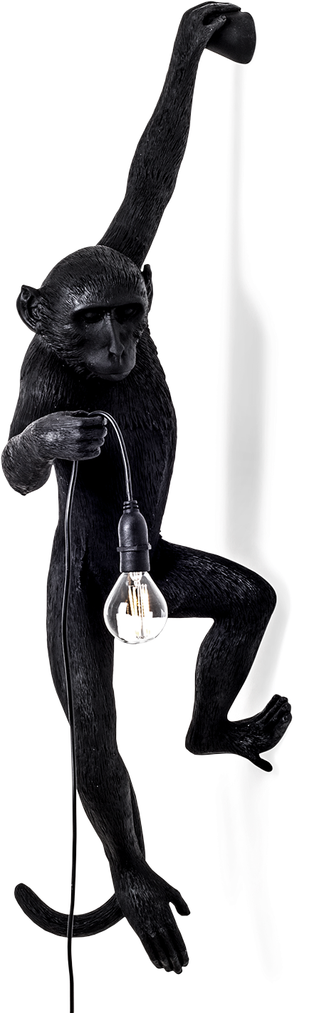 Seletti Outdoor Monkey Lamp, Hanging-0 - Seletti - Monkey Lamp - Hanging - Black (1000x1466), Png Download