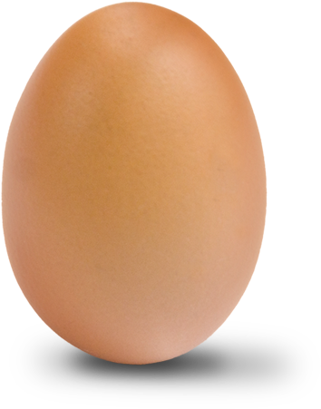 Egg Clipart Photo - Egg Png (488x498), Png Download
