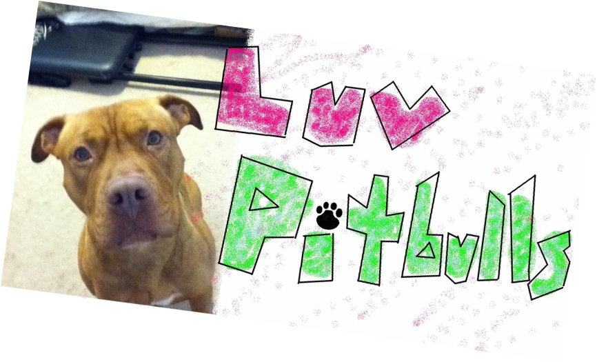 I <3 Pitbulls - American Pit Bull Terrier (866x525), Png Download