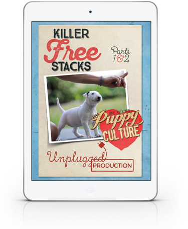 Demand To Win Puppies - Puppy (374x479), Png Download