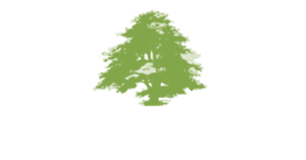 Ornamental Trees - Ornamental Plant (720x300), Png Download