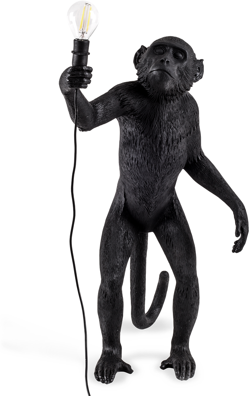 Seletti Outdoor Monkey Lamp, Standing-0 - Standing Monkey Lamp (1000x1383), Png Download