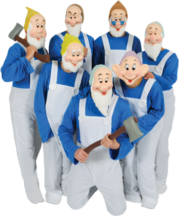 Set Of 7 Dwarf Outfits " Name="og Description - Seven Dwarfs Fancy Dress (366x580), Png Download