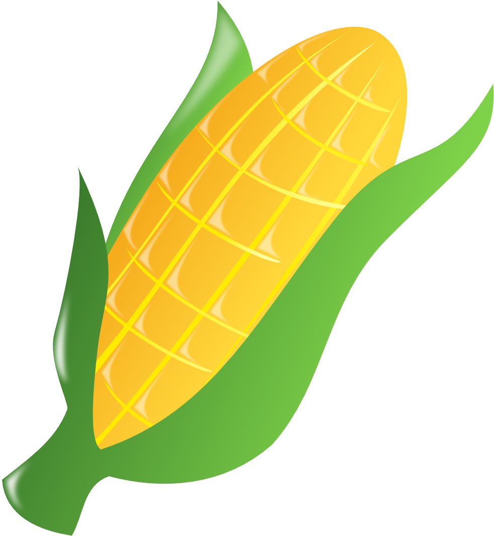 Corn Stalk Clip Art Clipart - Corn Clip Art (546x596), Png Download