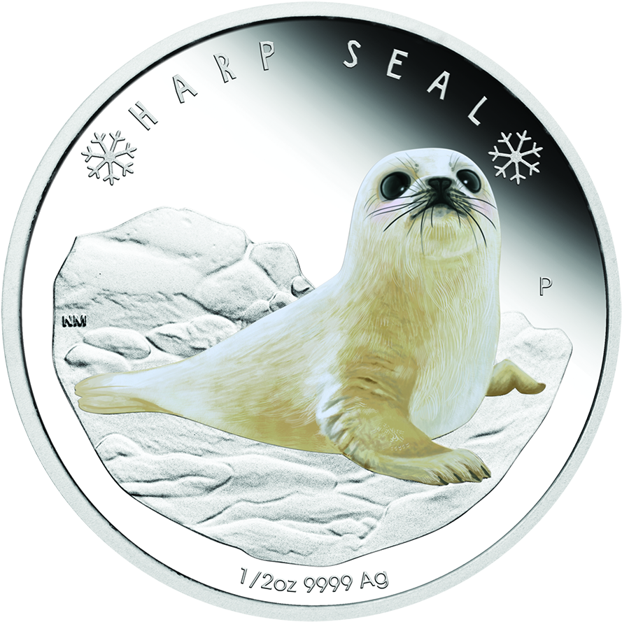2017 Australian Polar Babies Harp Seal 1/2oz Silver - 2017 Polar Babies - Harp Seal 1/2oz Silver Proof Coin (900x900), Png Download