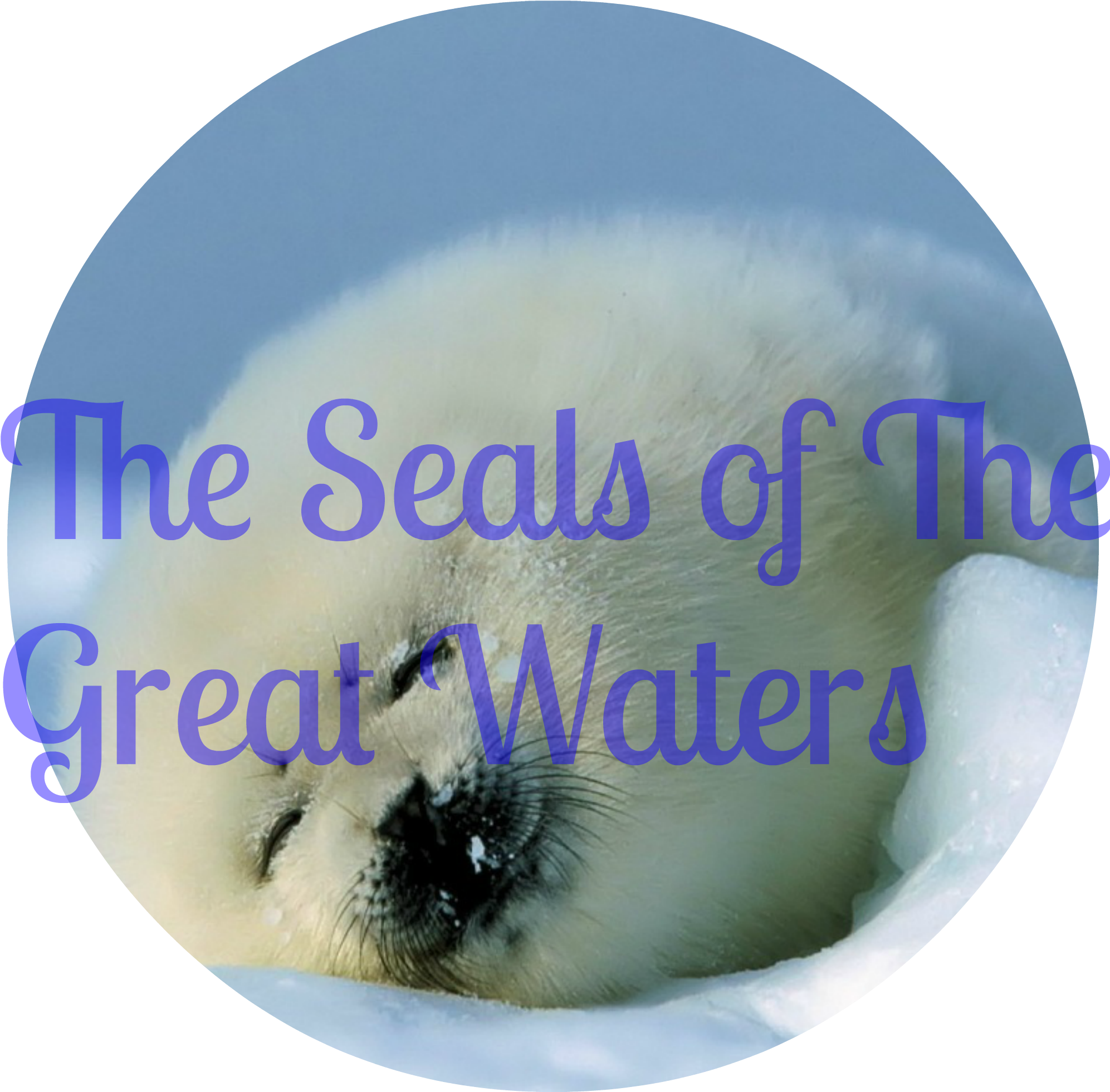 Seals - Keyring Seal Red Sleep Snow 2729 (2000x2000), Png Download