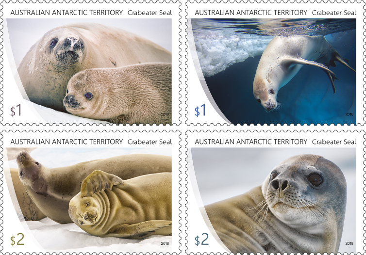 Set Of Stamps - Crabeater Seal (970x545), Png Download