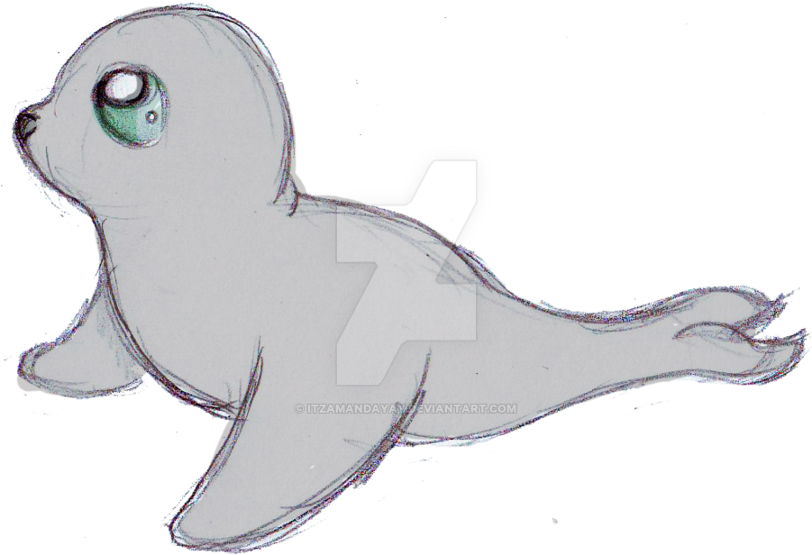 28 Collection Of Seal Drawings Cute - Cute Sea Lion Drawing (900x664), Png Download