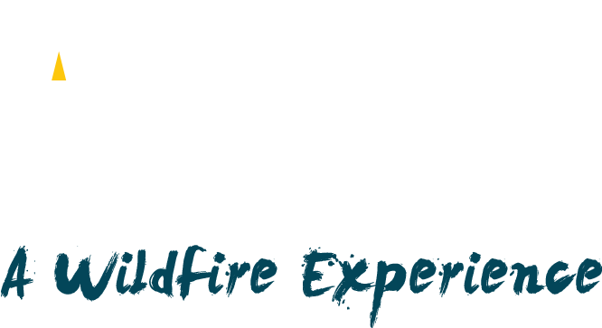 Logo Logo Logo Logo - Make Me A Millionaire Inventor (700x400), Png Download