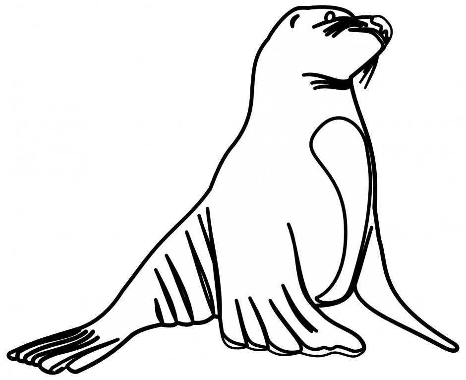 Sea - Sea Lion White And Black (940x766), Png Download
