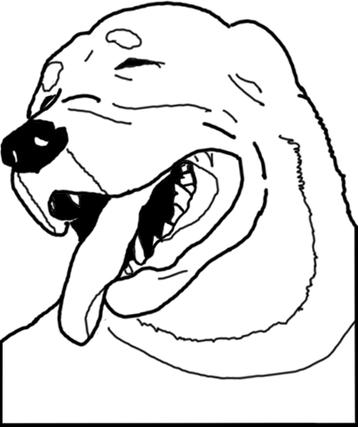 Yao Ming Face Scared Yao Ming Scared Sorry, This Has - Yao Ming (403x480), Png Download