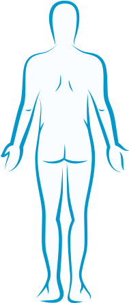 Human Body Outline Front Human Body Outline Back - Human (420x533), Png Download