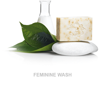 19 May Daun Sirih Sarawak - Sarawak (407x395), Png Download