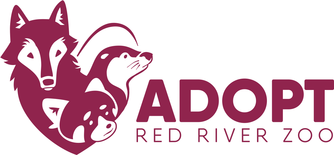 By Adopting A Red River Zoo Animal, You Share Your - Zoo (1280x600), Png Download