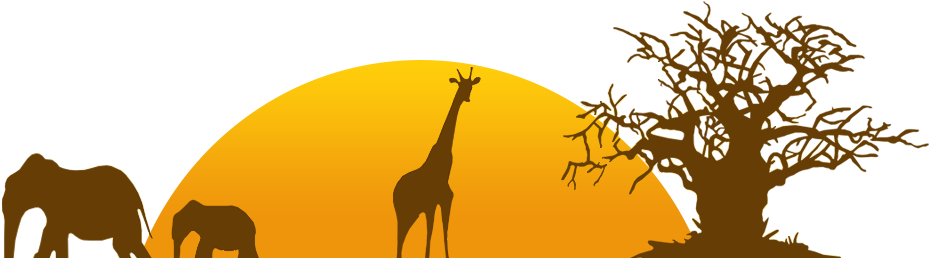 Zoo Logo Wildlife Animal Pictures Png Zoo Logo Wildlife - Logo Zoo Png (1000x300), Png Download