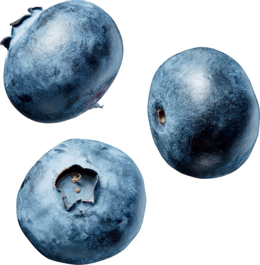 Blueberry White Background (877x893), Png Download