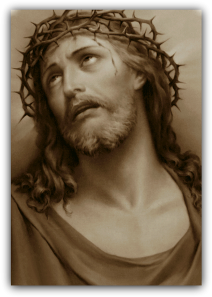 Crown-thorns2 - Jesus Head Crown Of Thorns (430x600), Png Download