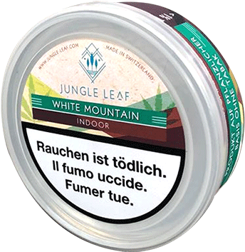 Our Products - Jungle (500x454), Png Download