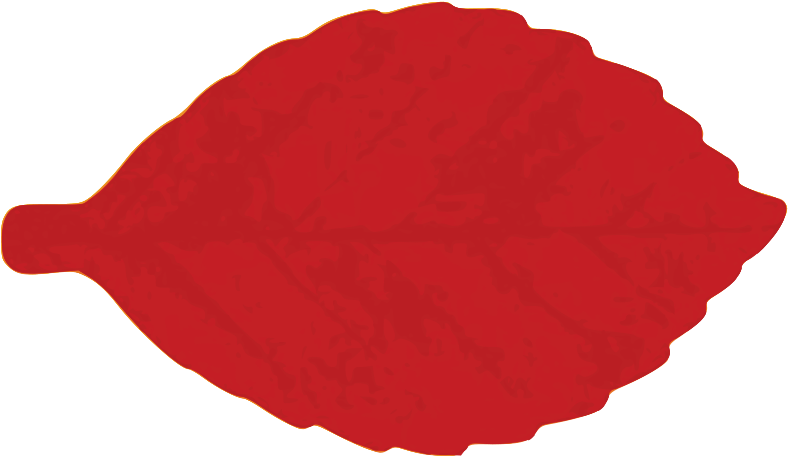 Jungle Leaf Small Clipart 300pixel Size, Free Design - Clip Art (900x551), Png Download