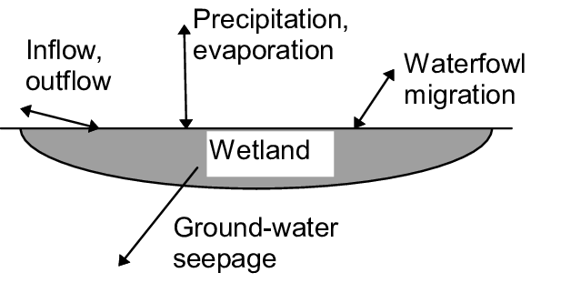Key Interfaces Associated With A Wetland - Trust Quotes (617x311), Png Download