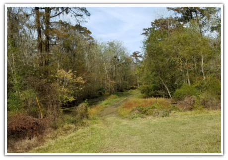 Wetlands - Meyer Engineers Ltd (460x324), Png Download