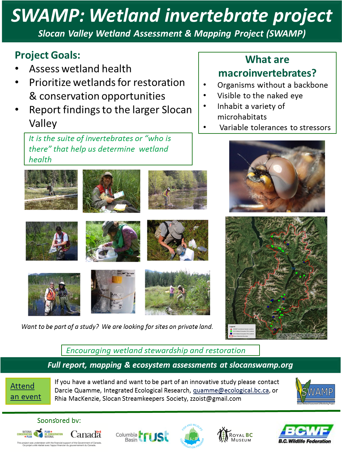 Share This - - Flyer (1154x1501), Png Download