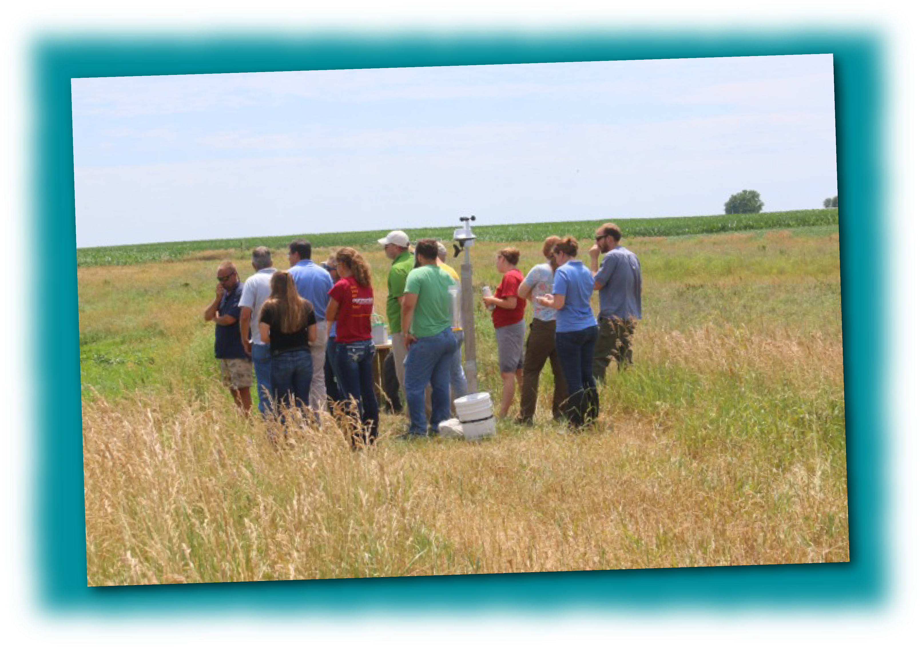 We Ended At The Site Of The Very First Saturated Buffer - Wetland (3300x2346), Png Download