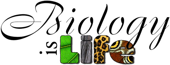 Welcome Back To Another Exciting School Year This Year - Birds Our Teachers By John R. W. Stott (600x261), Png Download