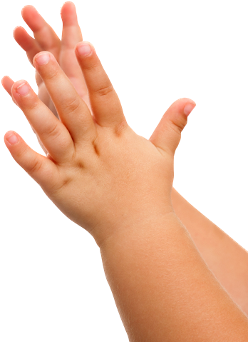 Experience Delicious Llc (353x487), Png Download