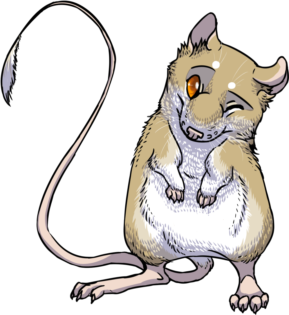 Rat Clipart Kangaroo Rat - Kangaroo Rat Clip Art (1024x1108), Png Download