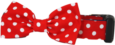 The Calhoun Bow Tie Collar - Polka Dot (480x265), Png Download