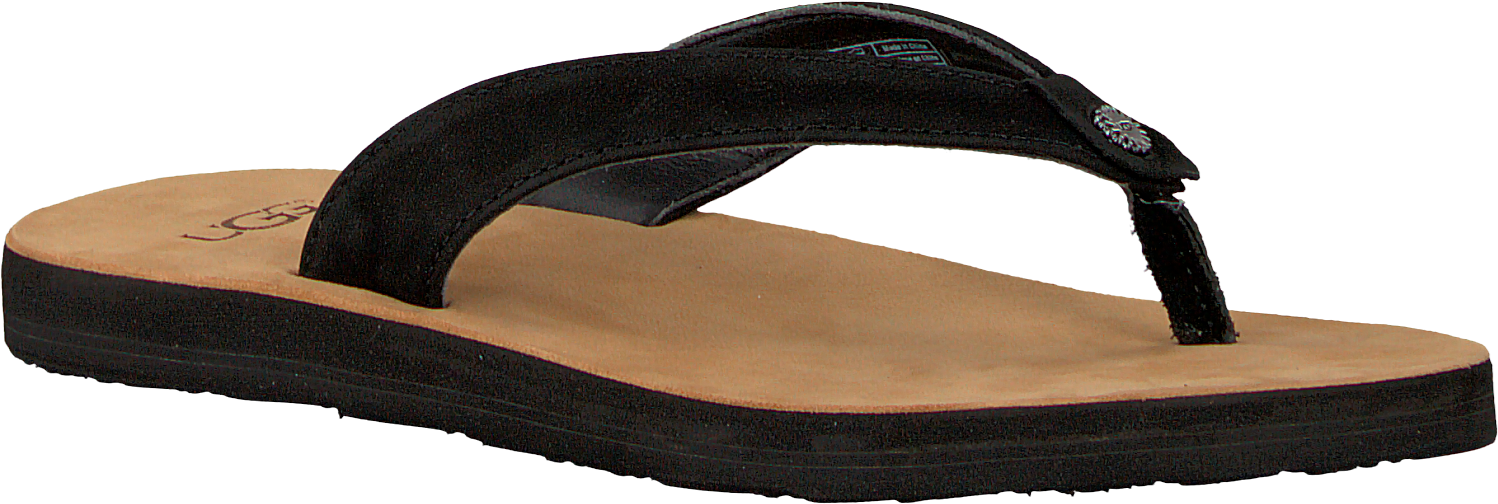 Zwarte Ugg Slippers Tawney - Hardwood (1500x518), Png Download