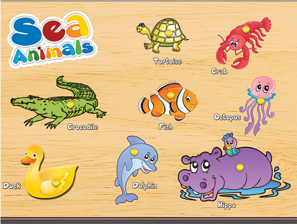 Sea-animal - Sea (600x600), Png Download