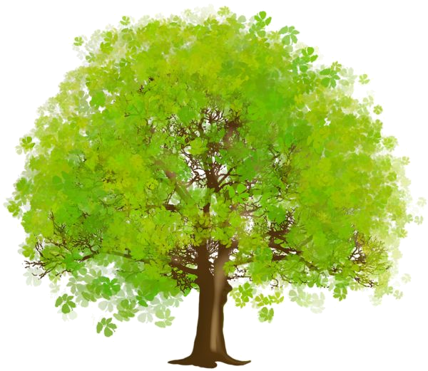 Ancestry - Arbre,tubes,png - Green Tree Clip Art (600x521), Png Download