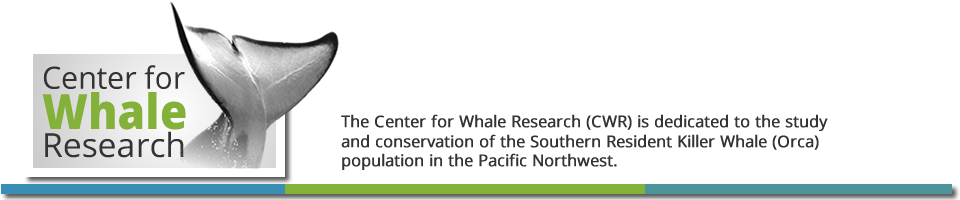 Center For Whale Research - Killer Whale (960x200), Png Download