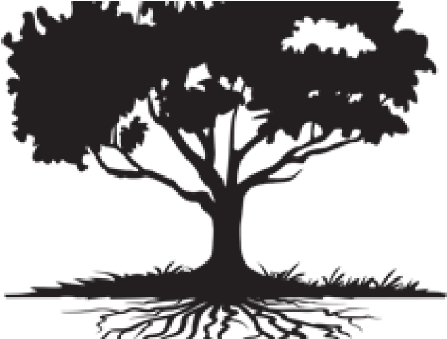 Roots Clipart Family Tree - Colossians 2 7 (640x480), Png Download