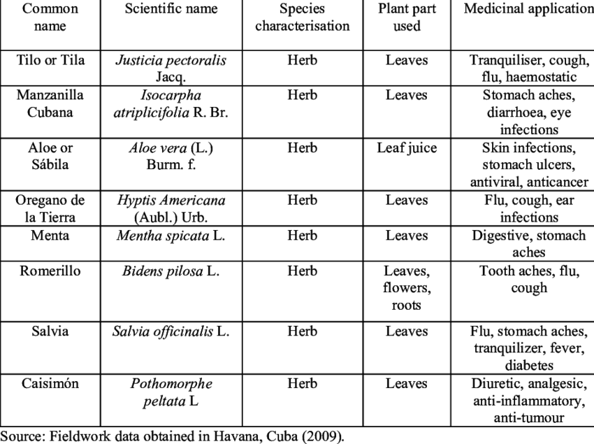 The Top Ranking Medicinal Plant Species Cultivated - Medicinal Plants (850x635), Png Download