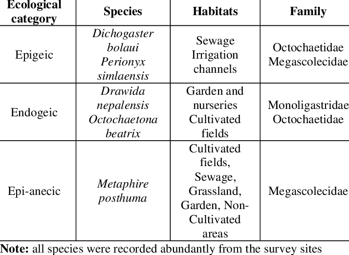 Earthworm Species Used In Vermicomposting - Earthworm (714x522), Png Download