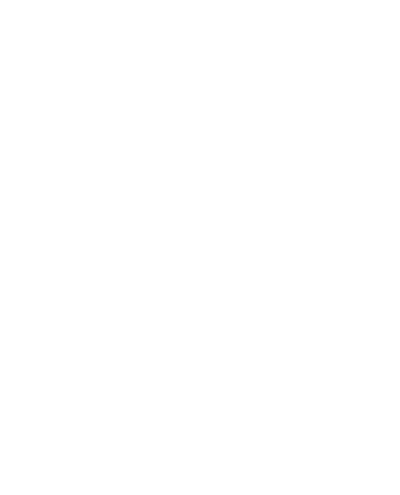 Wyse Management Suite - White Cinematic Bars Png (400x495), Png Download