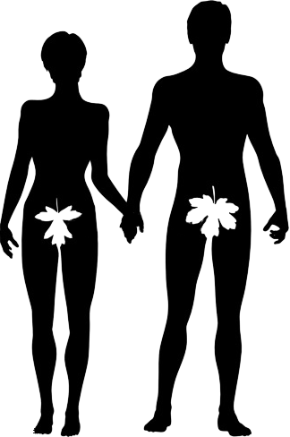 Adam - Adam Et Eve Png (324x488), Png Download