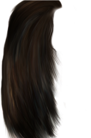 Hairstyles Png Transparent Images - Lace Wig (640x480), Png Download