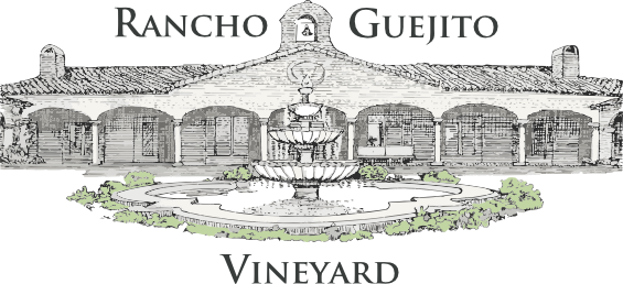 Hayride Tours - Rancho Guejito Vineyard (565x258), Png Download
