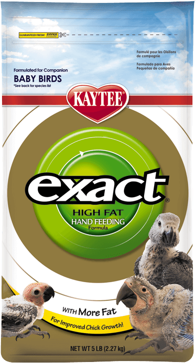 Exact Hand Feeding High Fat Baby Bird Food - Kaytee Exact High Fat Hand Feeding Formula (750x750), Png Download