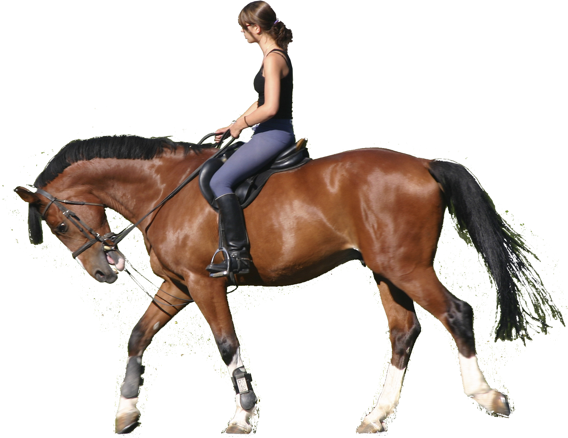 Png Horse Riding Transparent Horse Riding Ride A Horse Png Full Size Png Download Seekpng