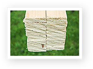 Just In Time - Picture Frame (330x374), Png Download