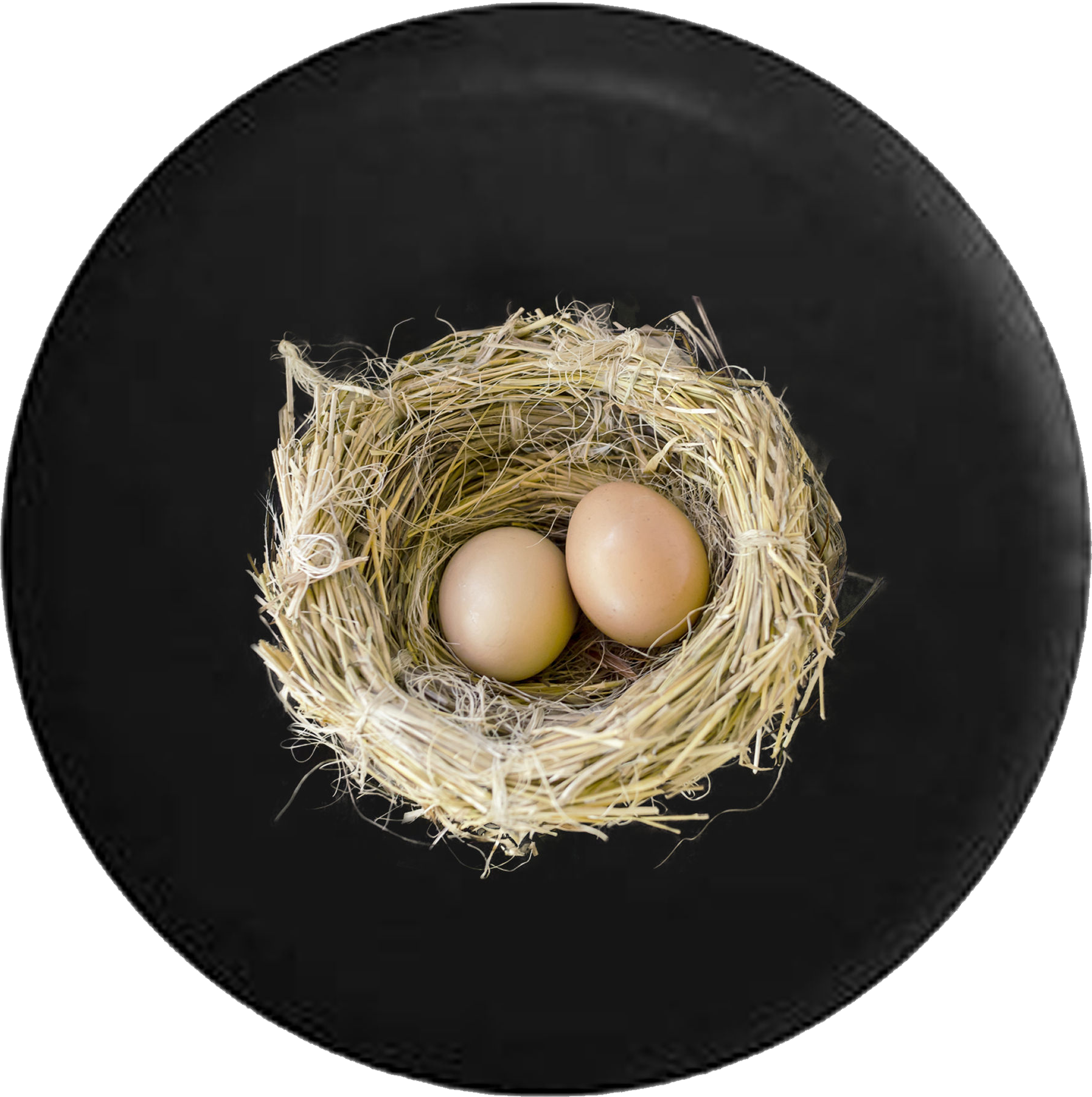 Birds Nest With Baby Bird Eggs Jeep Camper Spare Tire - Jeep (1795x1803), Png Download