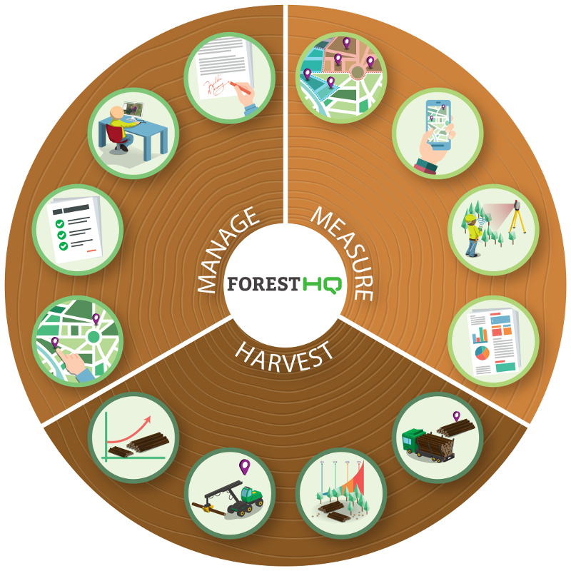 Treemetrics Has Developed Foresthq To Provide A Range - Business (800x800), Png Download